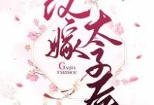 改嫁太子后柳诗诗欧阳怀,改嫁太子后小说免费阅读-读书翁