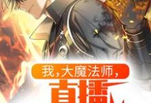 我,大魔法师,直播隔空取物这本小说完结了吗?免费查看最新章节-读书翁