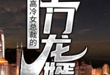 高冷女总裁的上门龙婿叶豪萧婉清，高冷女总裁的上门龙婿最新章节-读书翁