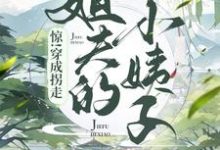 求惊!穿成了拐走姐夫的小姨子小说的全文免费阅读链接-读书翁