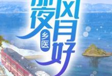 完整版的乡医:那夜风月好小说在哪里可以免费读到?-读书翁