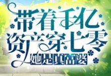 阮娇娇季怀安为主角的小说叫什么?免费看带着千亿资产穿七零,她是真富婆-读书翁