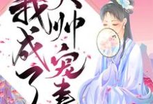 重生后我成了大帅宠妻小说，重生后我成了大帅宠妻免费阅读-读书翁