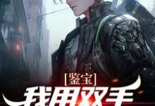 曾良君林青翎为主角的小说叫什么?免费看鉴宝:我用双手称霸学术界-读书翁