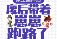 完结版《搬空国库后,废后带着崽崽跑路了!》章节阅读-读书翁