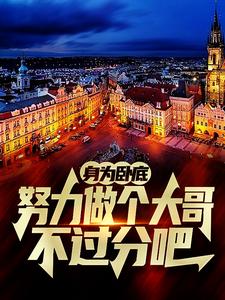 白舟小说在线章节免费阅读（身为卧底，努力做个大哥不过分吧无弹窗无删减）