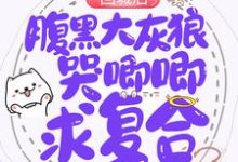 小说《回城后,腹黑大灰狼哭唧唧求复合》在线章节阅读-读书翁