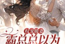 主人公叫白蘅薄京鹤的小说哪里免费看-读书翁