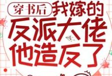 主人公叫吕颂梨秦晟的小说哪里免费看-读书翁