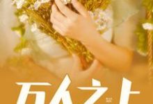 《万人之上》小说章节列表免费试读，叶宁林语晗小说在线阅读-读书翁