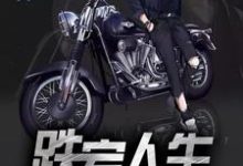 跌宕人生(刘浩孙若冰)在线免费阅读-读书翁