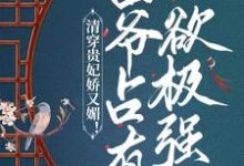 许莹莹胤禛是哪本书的主角?清穿贵妃娇又媚!四爷占有欲极强免费读-读书翁