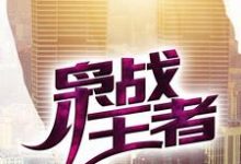 枭战王者小说有没有完整的免费版本在线阅读?-读书翁