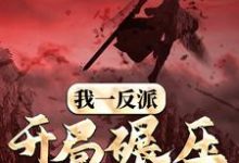 我一反派,开局碾压气运之子帝绝天在线章节免费阅读-读书翁