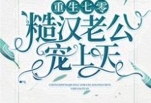 陆婉苏振华小说在哪里可以看-读书翁