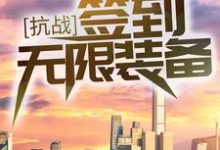 小说《抗战：签到无限装备！》章节阅读-读书翁