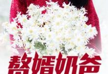 赘婿奶爸小说的免费阅读版本在哪里可以找到？-读书翁