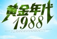 哪里能找到黄金年代1988小说的全部章节?-读书翁