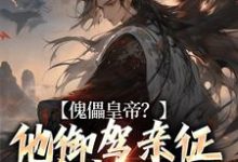 傀儡皇帝?他御驾亲征杀穿天下小说的所有章节都能在哪里免费读到?-读书翁