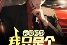 完结版《神豪网游:我只是个萌新玩家》章节目录在线阅读-读书翁