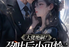 《大佬绝嗣?孕吐后小可怜一胎三宝》全集免费在线阅读(黎棠棠陆迟聿)-读书翁