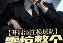 杨力大姚为主角的小说好看吗?免费读开局酒庄换球队,震惊整个NBA-读书翁