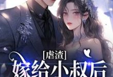 虐渣:嫁给小叔后,渣男疯了小说有没有完结版在线?-读书翁