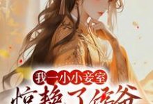 我一小小妾室,惊艳了侯爷很合理吧小说最新章节在哪里可以读到?-读书翁