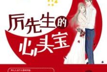 厉先生的心头宝小说的无弹窗阅读体验,寻找免费阅读网站-读书翁