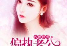 小说《闪婚厚爱:偏执老公宠上瘾》章节免费阅读-读书翁