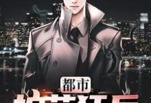 都市护花狂兵秦八荒柳媚儿韩冷秋,都市护花狂兵章节在线阅读-读书翁