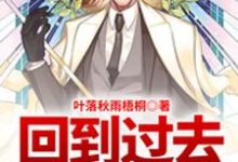 回到过去当奶爸小说最新更新在哪里?免费在线看-读书翁