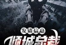 主人公叫顾逸楚一宁的小说发错信息，倾城总裁老婆救场了在线阅读章节-读书翁