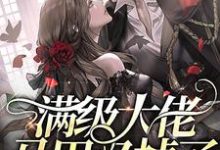 满级大佬马甲又掉了这本小说怎么样?免费在线阅读试试-读书翁