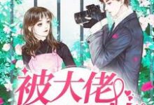 被大佬一见钟情小说有没有完结版在线?-读书翁