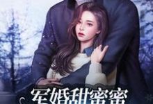 想读 冯晚禾薛战城的故事,哪里可以免费找到军婚甜蜜蜜:兵王老公使劲宠?-读书翁