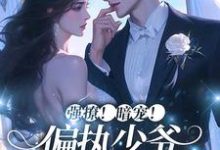 男女主人公梁迟音陈赴淮小说强撩!暗宠!偏执少爷心动一万次章节免费阅读-读书翁