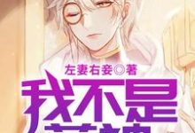 在线寻找叶准江聆韵刘影黄凌波的小说,我不是药神免费阅读-读书翁