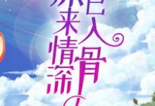 韩洛段奕铭小说在线章节免费阅读(原来情深已入骨无弹窗无删减)-读书翁