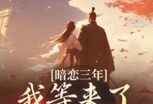 暗恋三年,我等来了命定姻缘小说全文哪里可以免费看?-读书翁