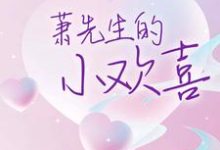 萧先生的小欢喜这本小说在哪里可以看？哪里有免费试读章节？-读书翁