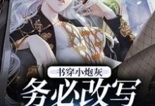 小说《书穿小炮灰,务必改写好结局》章节免费阅读-读书翁