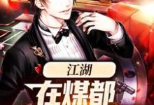 苏合为主角的小说好看吗?免费读江湖:在煤都奋斗的日子-读书翁