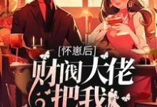 完结版《怀崽后,财阀大佬把我娶回家》章节阅读-读书翁