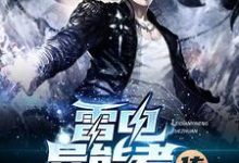 王零雷雷的完整故事在哪里?读雷电异能者传小说-读书翁