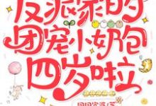 主角叫顾茶茶陆远泽的小说在哪阅读-读书翁