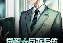 觉醒大反派系统，我成新的气运之子小说阅读，觉醒大反派系统，我成新的气运之子完结版-读书翁