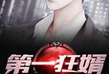 第一狂婿这本小说完结了吗?免费查看最新章节-读书翁