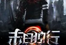 末日独行小说,末日独行免费阅读-读书翁