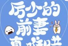 小说《豪门弃妇:厉少的前妻真难哄》章节阅读-读书翁